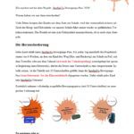 SpoSpiTo_Homepage_26